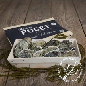 Poget-oesters