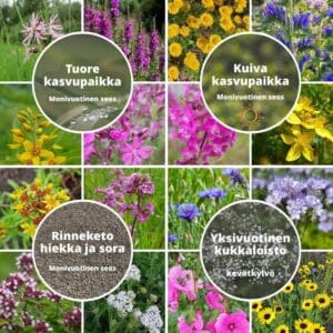 Kasvupaikan suosikkiseokset -kollaasi: Tuore, Kuiva, Rinneketo hiekka ja sora sekä Yksivuotinen kukkaloisto kevätkylvö.