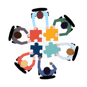 Enterprise Software Customization