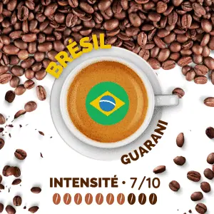 Brésil Guarani