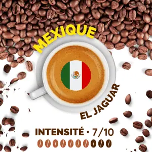 Mexique El Jaguar