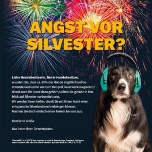 Sileo_Angst-vor-Silvester