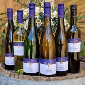 Weingut Fels Probierpaket 2 Weißwein halbtrocken mild