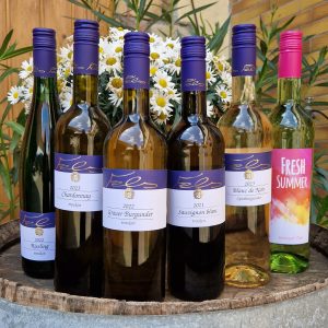 Weingut Fels Probierpaket 1 Weißwein trocken halbtrocken