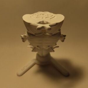 IMG_20241119_180416055 El Tronco del Encéfalo