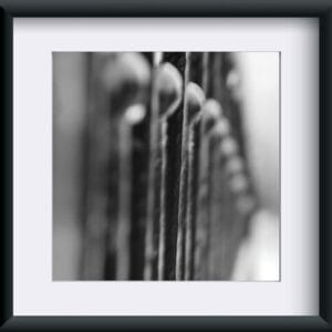 Fotografia "Harmonia"