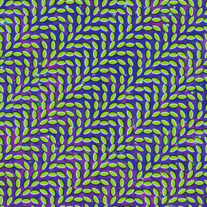 Animal Collective - Merriweather Post Pavilion NOVA