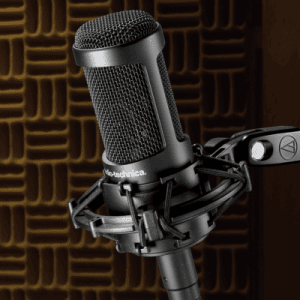 Audio Technica AT2050  Multi-pattern Condenser Microphone