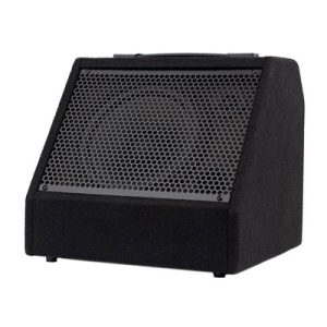 Hayman DDM-30 Digital Drum Monitor with Bluetooth
