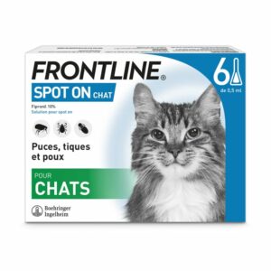 frontline-chat