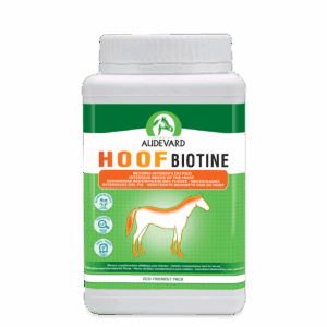 hoof-biotine-audevard-seau-1kg