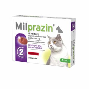 ùilprazin chat