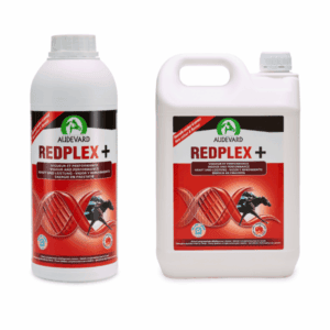 Audevard Redplex Plus – Cheval