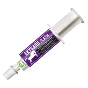 Audevard Ekygard Flash Seringue 60 mL – Cheval