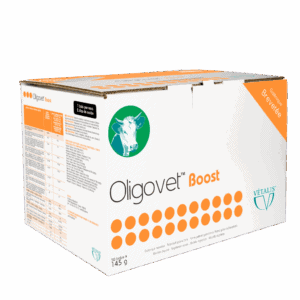 Oligovet Boost - Boite de 50 Bolus - Vetalis