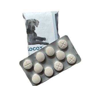 LOCOX 150 comprimés sous sachet -TVM