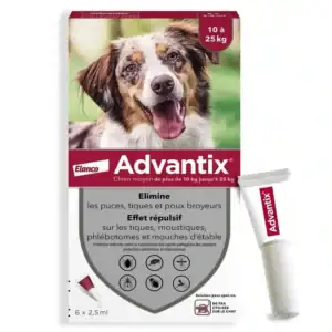 Advantix Chien Moyen (10-25 kg) – 6 pipettes