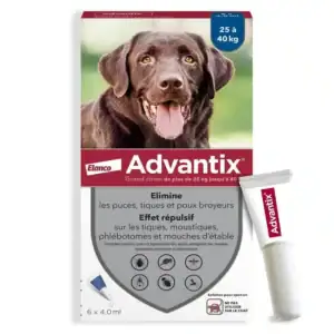 Advantix grand chien (25-40 kg) – 6 pipettes