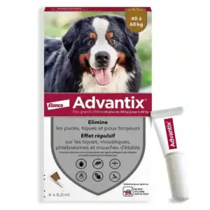 Advantix Très Grand Chien 40-60 kg – 4 pipettes de 6 ml
