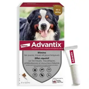 Advantix Très Grand Chien 40-60 kg – 6 pipettes de 6 ml