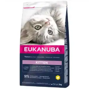 Eukanuba Kitten Healthy Start 1-12 mois