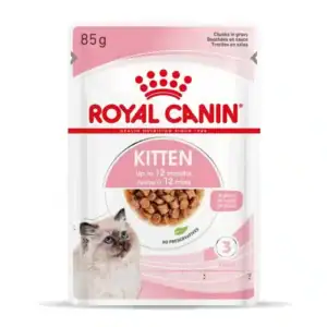 Royal Canin Kitten en sauce – 12 x 85 g