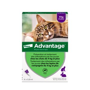 Advantage 80 chat et lapin boîte de 4 pipettes Elanco