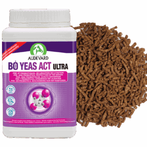 Bo Yeas Act Ultra Audevard équilibre digestif du cheval