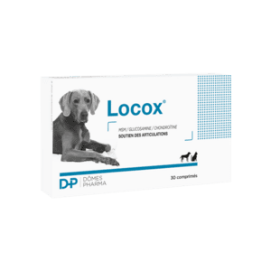 Locox 30 comprimés Dômes Pharma articulations chien et chat