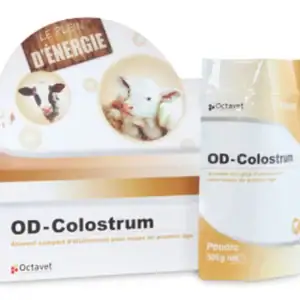 Boîte et sachet Octavet OD-Colostrum 8 sachets 300 g veau