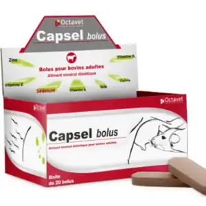 Octavet Capsel Bolus 20 bolus - Bovin