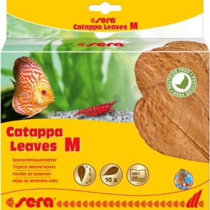 sera Catappa Leaves M 16-20см, 10 броя
