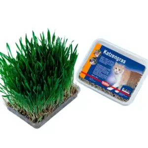 Трева за котки NOBBY 100 гр.