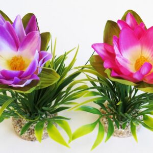 Растение Lotus Flower 18см от Sydeco, Франция