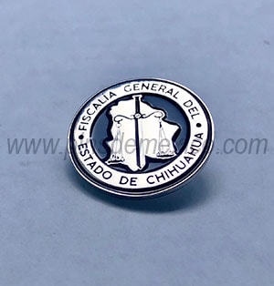 Pin de Moneda