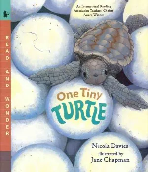 One Tiny Turtle