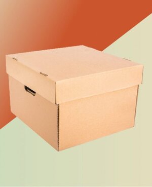 Caja archivadora de 40x37,5x26,6