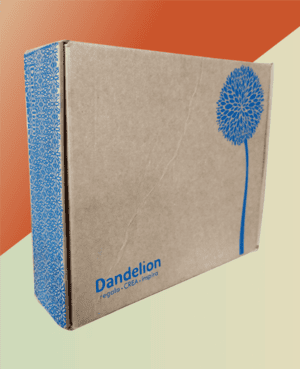 Caja de 22x18,5x5,5