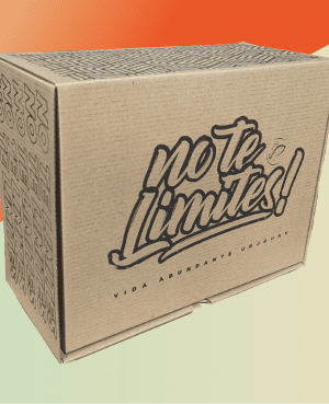 Caja de 22x28x13