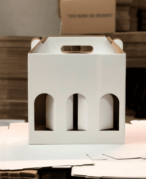 CAJA PARA BOTELLAS X3– 24,5X8X33