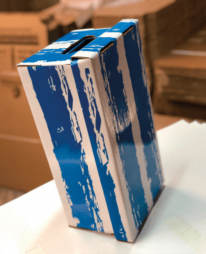 CAJA CHICA PARA ARTÍCULOS DE NIÑO – 37,5x19,5x15