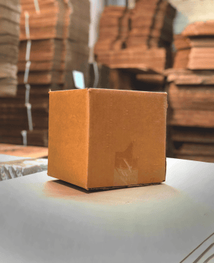 Caja pequeña de embalaje - 20x20x20
