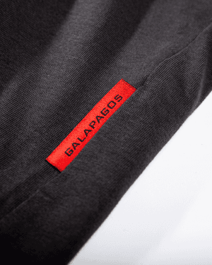 CAMISETA BÁSICA GRIS
