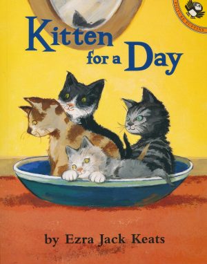 Kitten for a Day