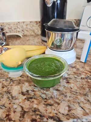 Mint Chutney