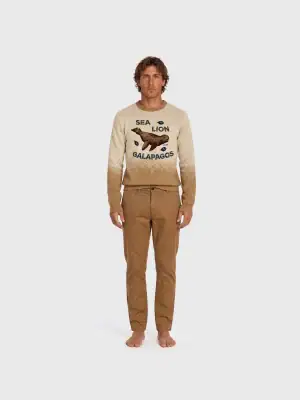 Sweater Sea Lion Galapos Darwin and wolf