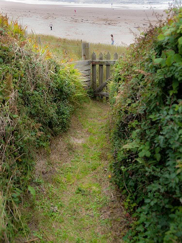 path
