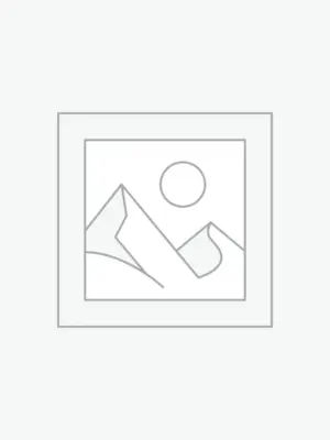 プレースホルダー