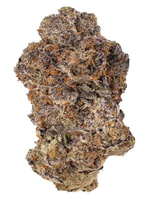 Vanilla Cream 14g Dried Flower – Castle Rock Farms | Montrose