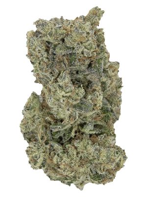 Hawaiian Fanta 14g Dried Flower – Pistol and Paris | Montrose